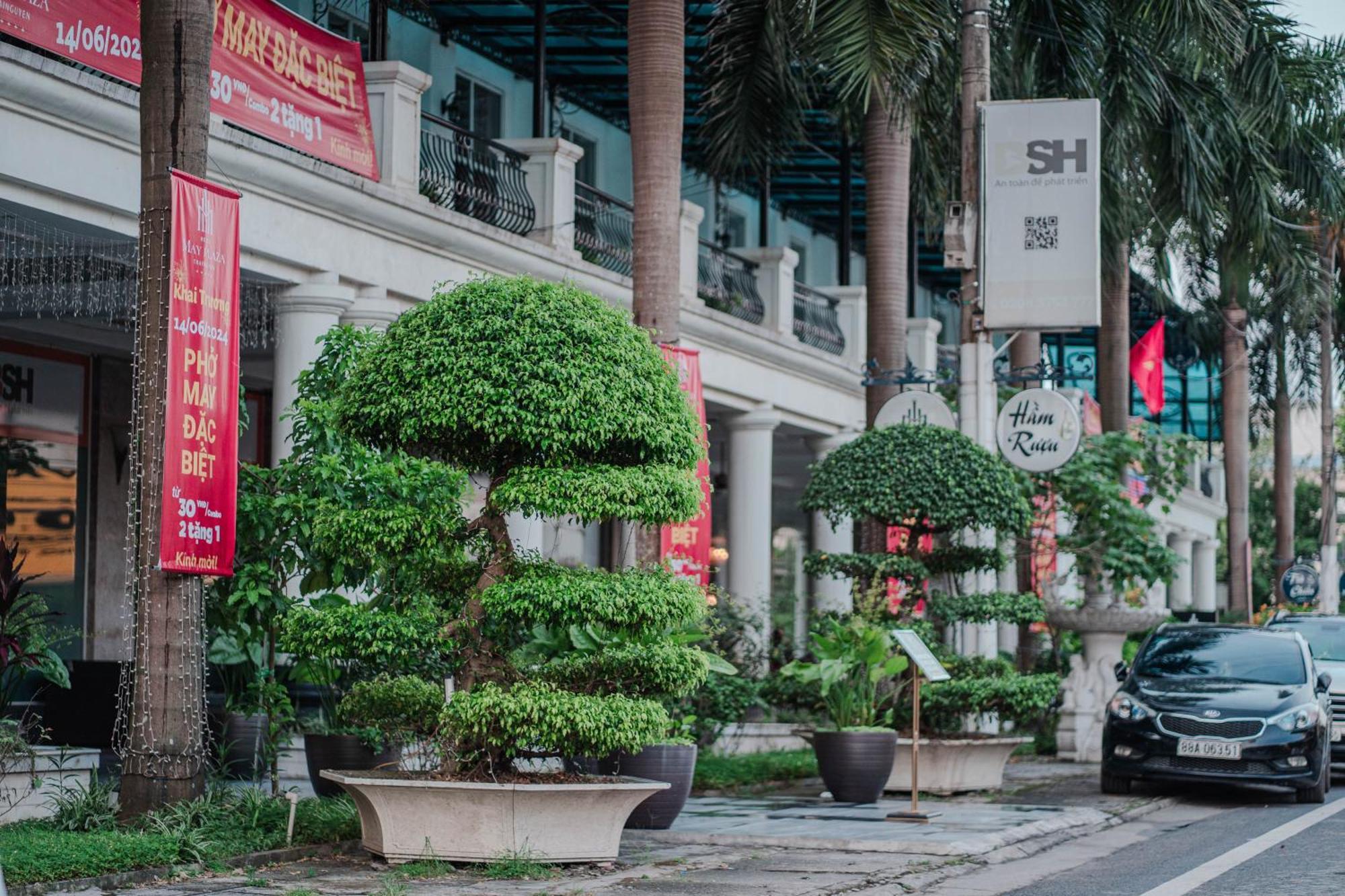May Plaza Hotel Thái Nguyên Extérieur photo